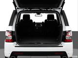  Hatchback & SUV rear angle photo